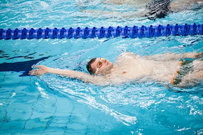 Szkolenia i kursy sportowe Movement Lab